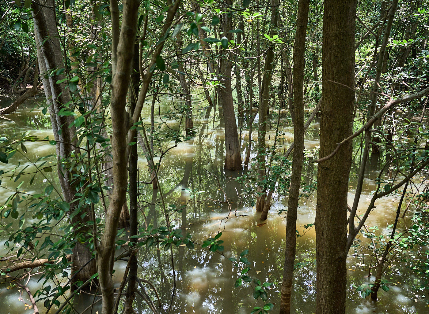  Labrador Park, Singapore 