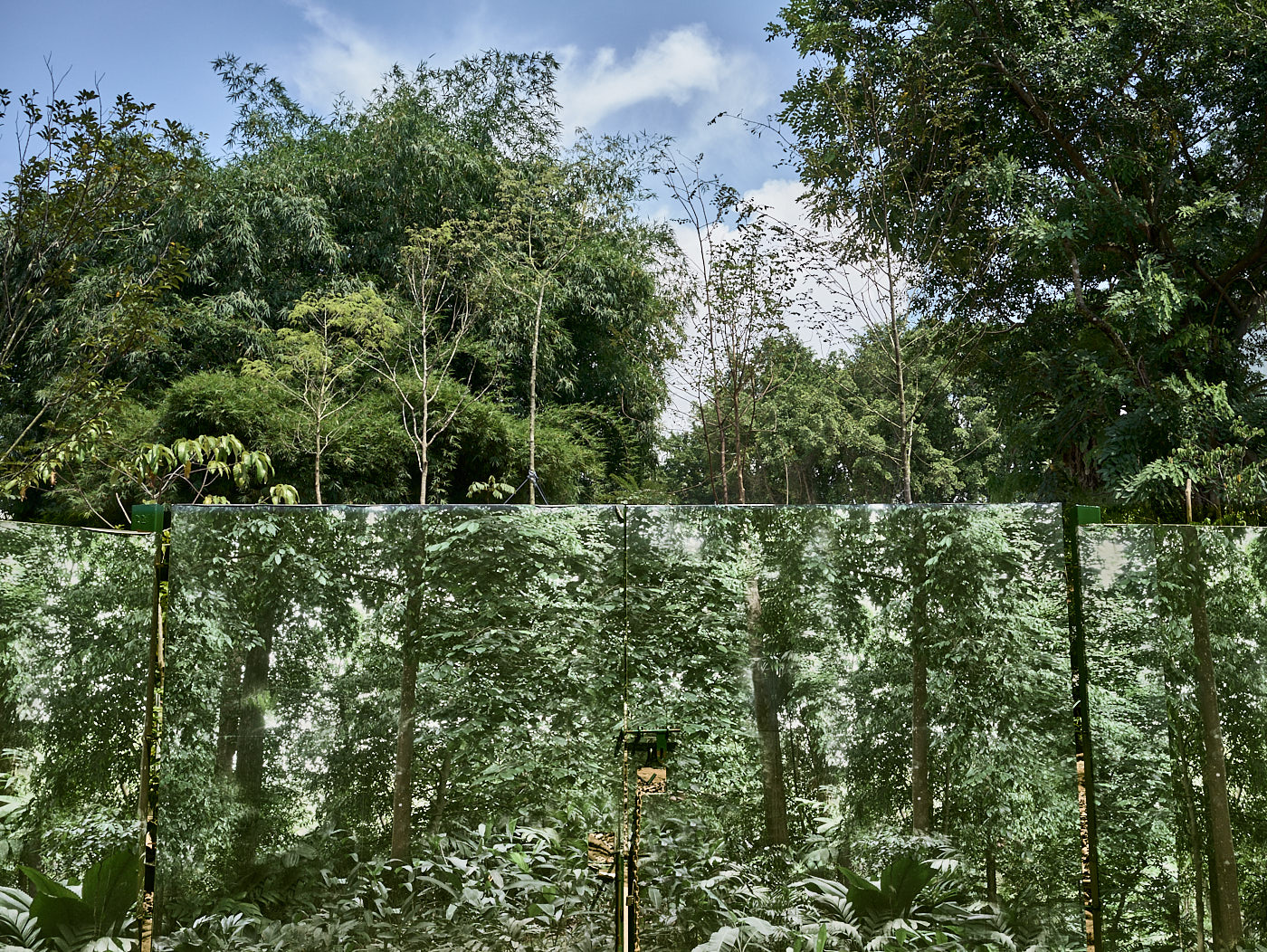  Botanic Gardens, Singapore 