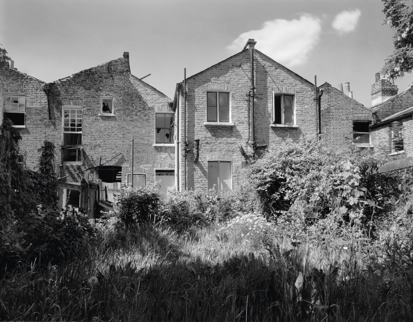  67 Stonhouse – our back garden 