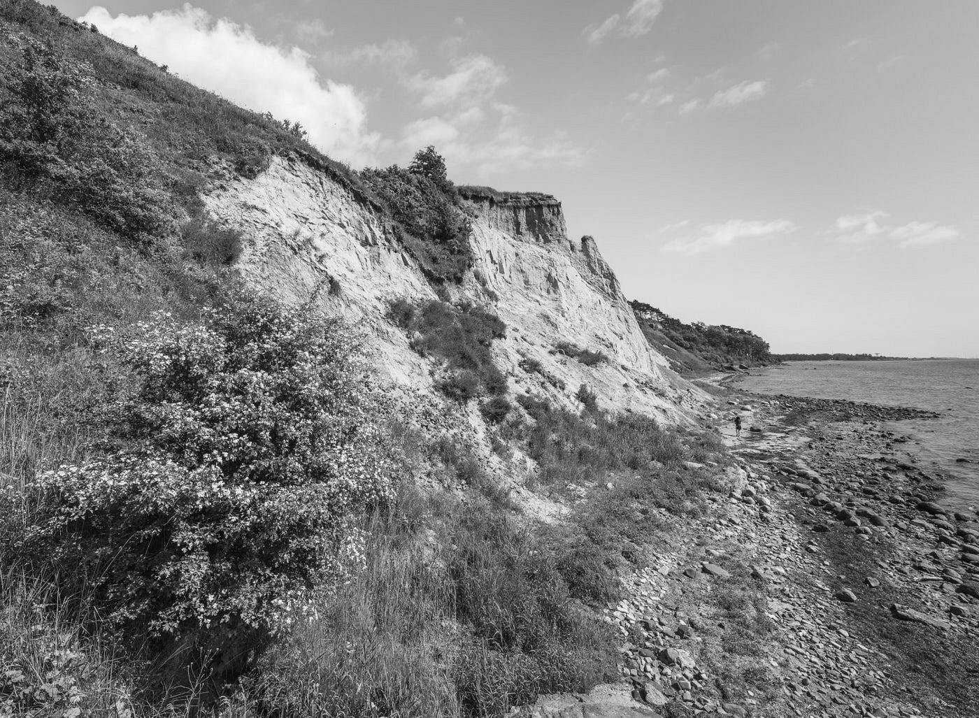  Rustningshamn, Gumslöv 2013 