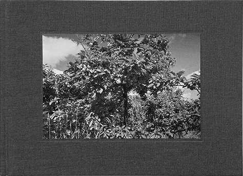 John S. Webb photobook A Garden